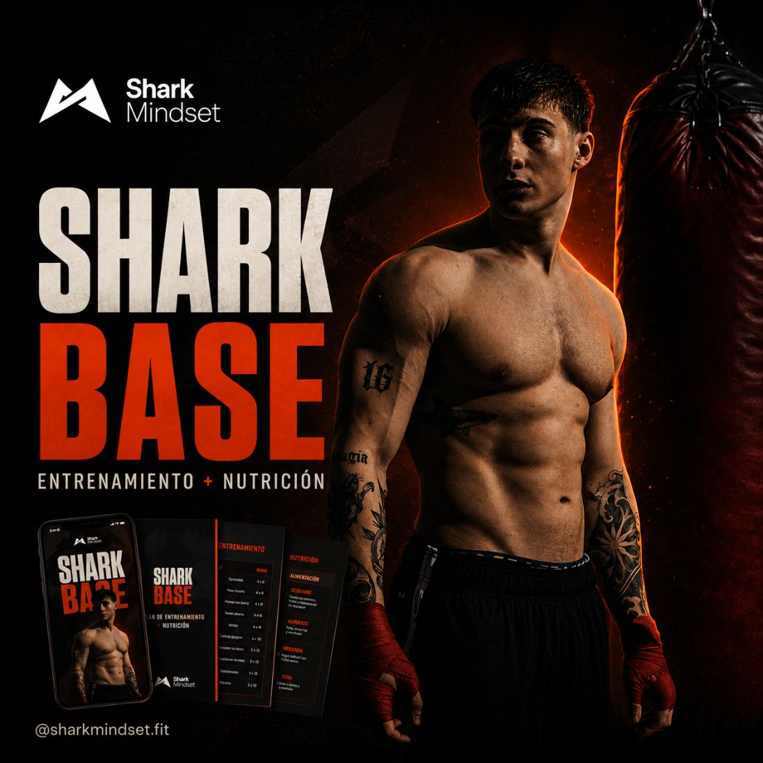 SHARK BASE